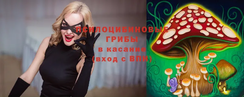 Псилоцибиновые грибы мицелий  где купить наркотик  Бахчисарай 